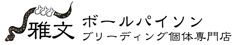 雅文